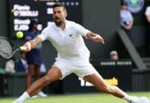 Djokovic survives late fall to set Sinner SF at Wimbledon Serbian defeats Cobolli in four sets