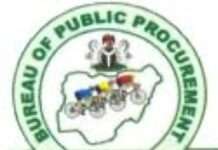 Abiodun seeks Brazilian investors for Olokola LNG, livestock, mining, tourism, power plant, others