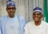 Villa rat invasion story was a cover for Buhari’s illness — Garba Shehu