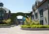 Professor gunned down by masked attacker