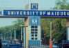 CSO mourns death of student in Maiduguri, demands probe into stray bullet incident CSO mourns death of student in Maiduguri, demands probe into stray bullet incident