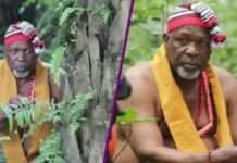 Actor Tom Njemanze dies in prostate cancer battle Tom Njemanze