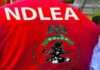 NDLEA intercepts Europe-bound drugs hidden in phone chargers, food items at Lagos airport NDLEA