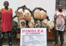 Cocaine, tramadol consignments in vehicle side mirrors intercepted at Lagos Airport