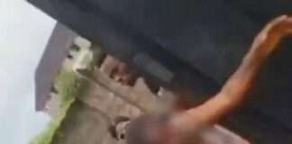 Assault on Corps member: Vigilante operatives dismissed, to be prosecuted by police
