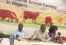 Stakeholders raise the alarm over incursion of multinationals into meat production sector in Nigeria