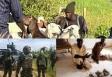 Troops intercept ₦23m terrorist ransom, rescue victims in Zamfara, Sokoto operations