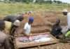 Boat mishap claims 29 lives in Niger
