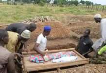 Boat mishap claims 29 lives in Niger
