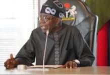 Tinubu’s shea policy to position Nigeria as global leader – FG