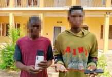 Kano police arrest two for robbery of Lil Kesh, recover N2m