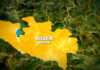 Six farmers killed as bandits invade farmlands in Niger State Six farmers killed as bandits invade farmlands in Niger State