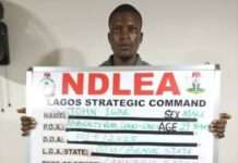 NDLEA smashes cocaine cartels behind six UK-bound shipments, arrests arrowhead, five others