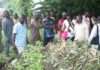 Hardship pushed me into charcoal business, says ABU undergraduate