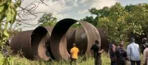 Multi-million naira assets rot away as auction stalls