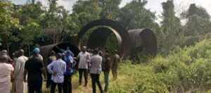 Multi-million naira assets rot away as auction stalls