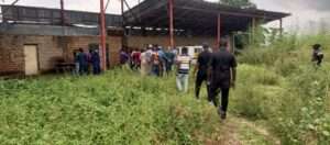 Multi-million naira assets rot away as auction stalls