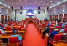 Doherty urges senate to probe new 15% petrol import duty