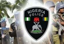Teenager allegedly kills cousin for ritual in Edo