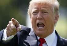 Consider Trump’s threats as security risk, U.S.–based scholar tells Nigerians Donald Trump's wildfire for the Bad Men! BY TONY ERHA