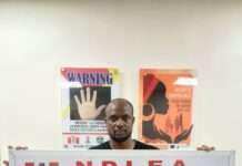 NDLEA arrests wanted drug baron, recovered hard currency