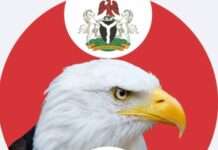 Alleged N76bn, $31.5m Fraud: Former AMCON MD Ahmed Kuru diverted N4.9bn from defunct Arik Air – Witness