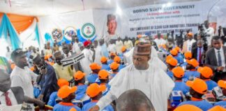 Zulum disburses N1bn, trains 1,050 youths on GSM repairs