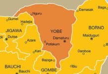 Man killed during turbaning ceremony in Yobe