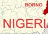 Boko Haram abducts two councillors, vice chairman, others in Borno Boko Haram abducts two councillors, vice chairman, others in Borno