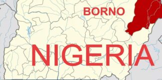 Boko Haram abducts two councillors, vice chairman, others in Borno Boko Haram abducts two councillors, vice chairman, others in Borno
