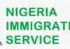 NIS announces likely interruptions in digital passport platform due to maintenance