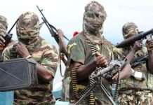 Five Boko Haram terrorists, three vigilantes killed in Gwoza ambush in Borno Five Boko Haram terrorists, three vigilantes killed in Gwoza ambush in Borno