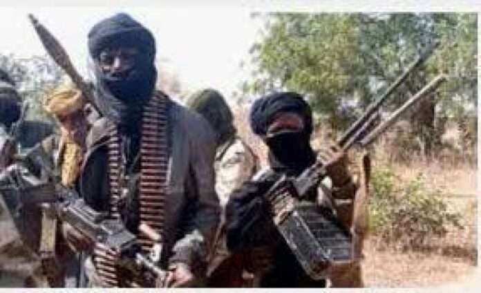 The emerging threat: JNIM's incursion into Nigeria's security landscape, By Okey Okwusogu