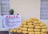 NDLEA recovers illicit drugs in Ekiti, Lagos, Taraba raids