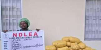 NDLEA recovers illicit drugs in Ekiti, Lagos, Taraba raids