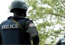 Police arrest prison escapee, 21 others in nationwide operations Police detain inspector, girlfriend over missing rifle in Taraba