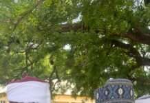Bassange Nation unveils BassaNge Progressive Union, cries for infrastructure development