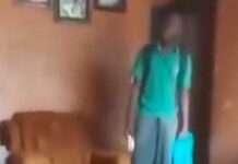 Video: Son-mother feud over household finances divides Nigerians online
