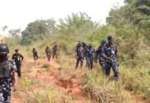 Police arrest 11 kidnappers, recover arms, N209,700 cash in Edo