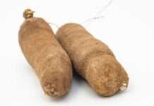 Court sends 25-year-old man to prison for stealing N10,000 yam