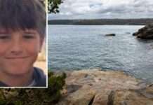 ‘We’re heartbroken’: 12-year-old boy dies after shark attack in Australia