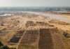 Kano’s silent orchards: How mango production is being killed by sand mining