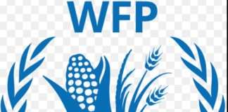 WFP raises the alarm over possible food aid cuts as hunger deepens in Northern Nigeria WFP raises the alarm over possible food aid cuts as hunger deepens in Northern Nigeria