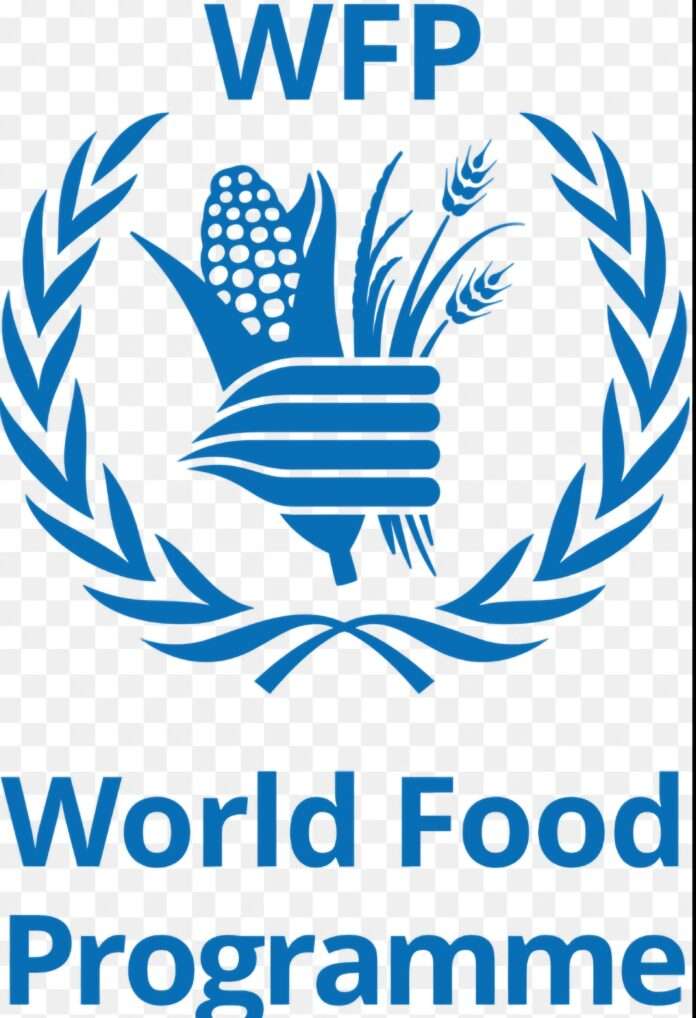 WFP raises the alarm over possible food aid cuts as hunger deepens in Northern Nigeria