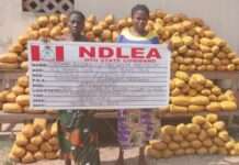 NDLEA arrests female drug kingpin in Ibadan, nabs two terrorist suppliers in Borno