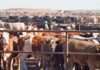 Kebbi receives 273,000 animal vaccine doses to tackle livestock diseases