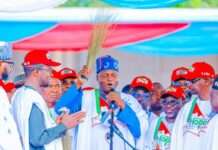 APC chair urges North to back Tinubu in 2027