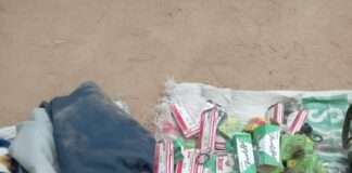 Troops foil terror ambush, recover supplies in Borno