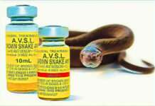 Nigeria records 43,000 snakebites annually amid severe antivenom shortage