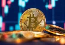 Bitcoin continues bearish run, drops below $80,000
